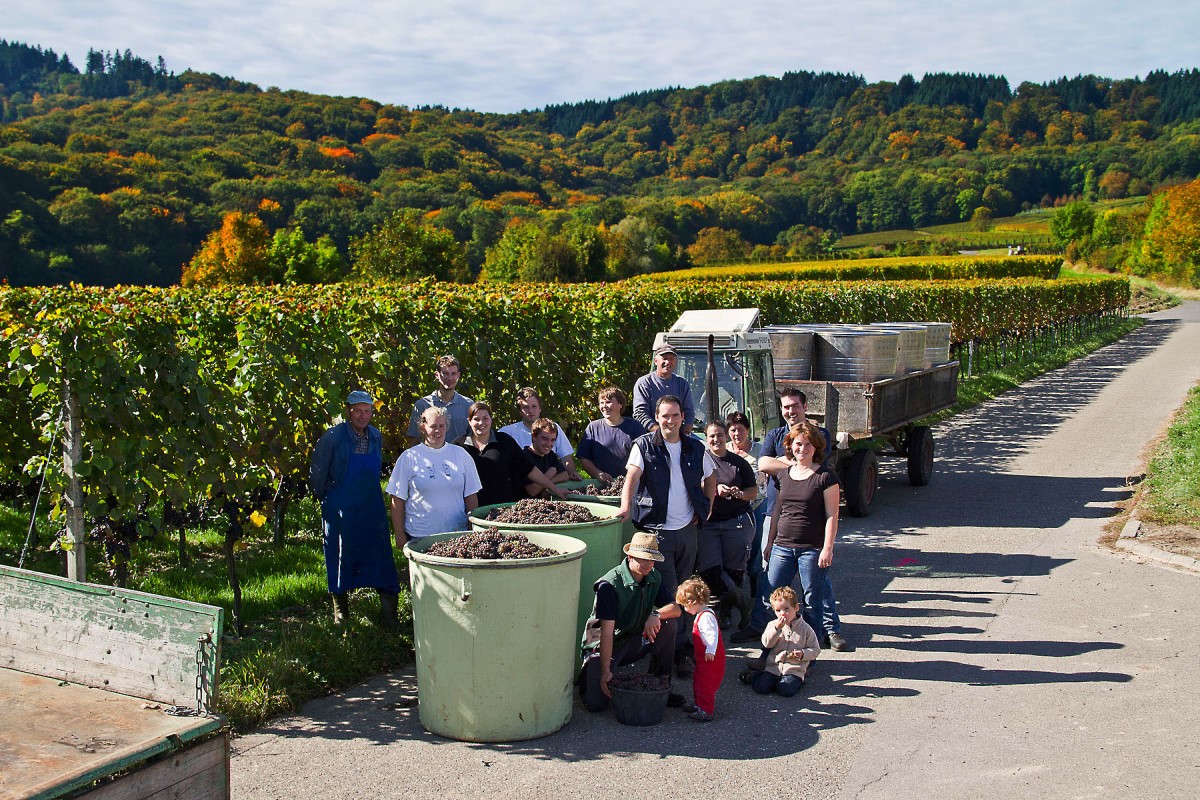 Friedrich Kiefer KG Privatkellerei - Weingut