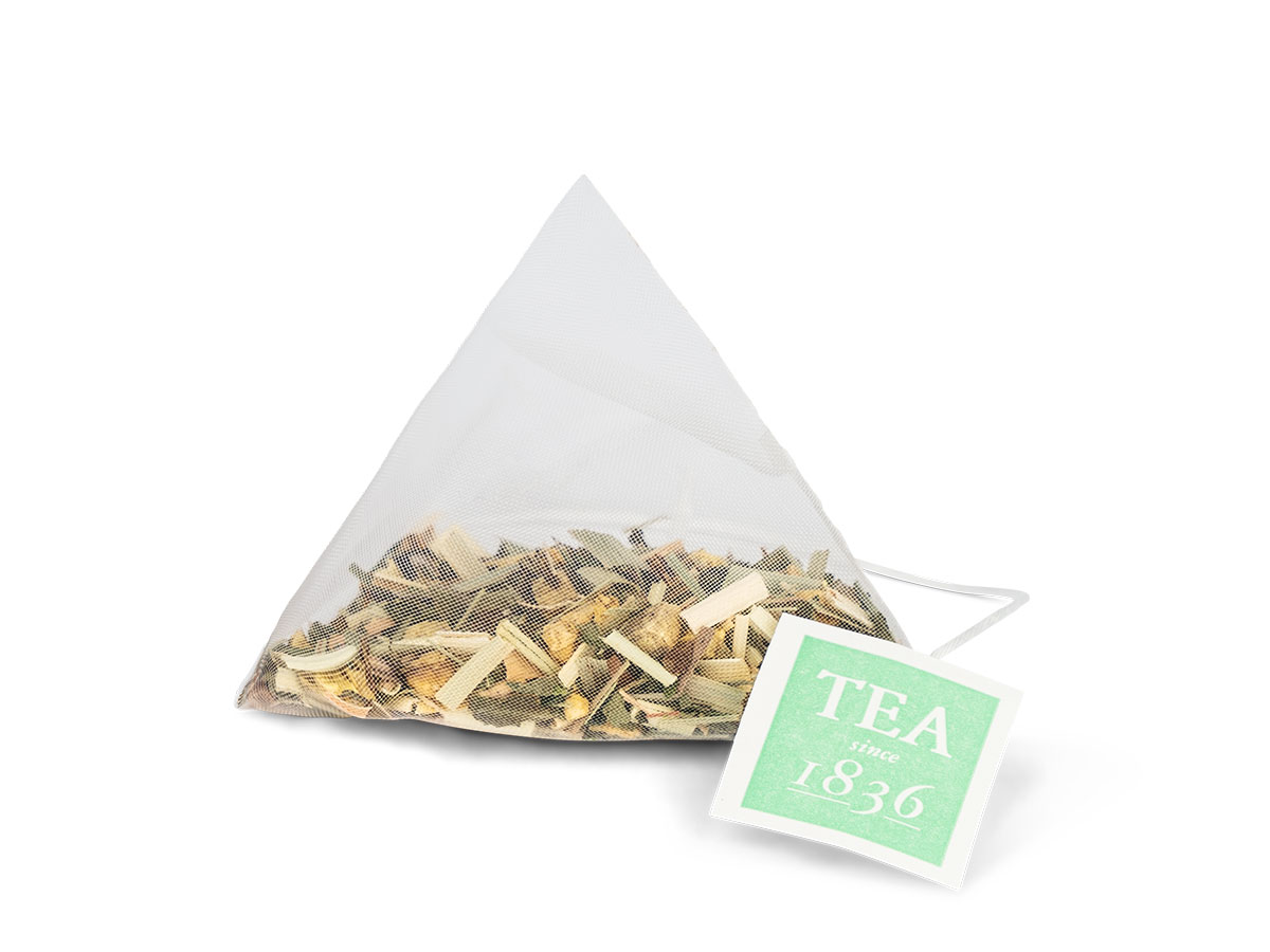 D & B - Kräutertee Ingwer-Fresh - 15 Pyramidenbeutel D & B - Kräutertee Ingwer-Fresh - 15 Pyramidenbeutel